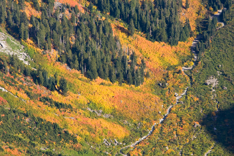 Fall Color Along Squire Creek
